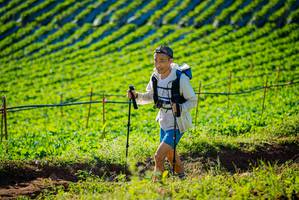 BIB: 
                            <button type="button" onclick="openModal(19160305)" class="btn btn-primary btn-sm float-right btn-popup" data-toggle="modal" data-target=".modal-high-quality">
                        <i class="fas fa-shopping-cart"></i> Add to Cart
                    </button>
                                            <button type="button" onclick="isThisMe(19160305, true)" class="btn btn-success btn-sm float-right btn-popup btn-isme hidden" data-toggle="tooltip" data-placement="bottom" title="นี่คือรูปของคุณใช่ไหม คลิกที่นี่เพื่อเอาเข้าอัลบั้ม">
                        <i class="fas fa-plus"></i> Add to album
                    </button>
                    <button type="button" onclick="isThisMe(19160305, false)" class="btn btn-warning btn-sm float-right btn-popup btn-isnotme hidden">
                        <i class="fas fa-ban"></i> Remove from album
                    </button>